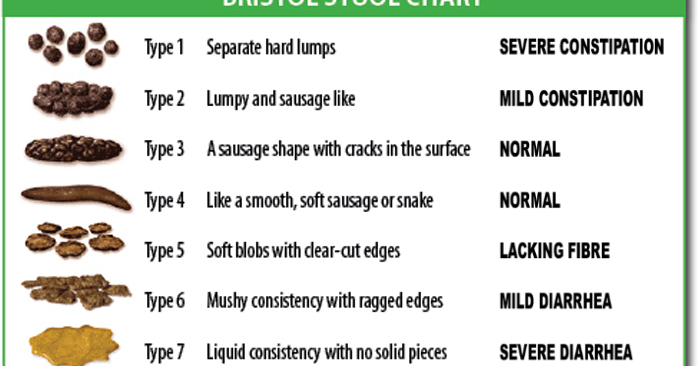 What Your Poop Color And Looks Says About Your Health You Should Know