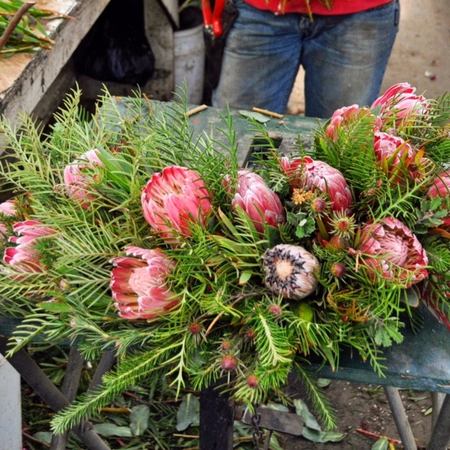 A Passion for Flowers Protea Wreath Crafting & Care