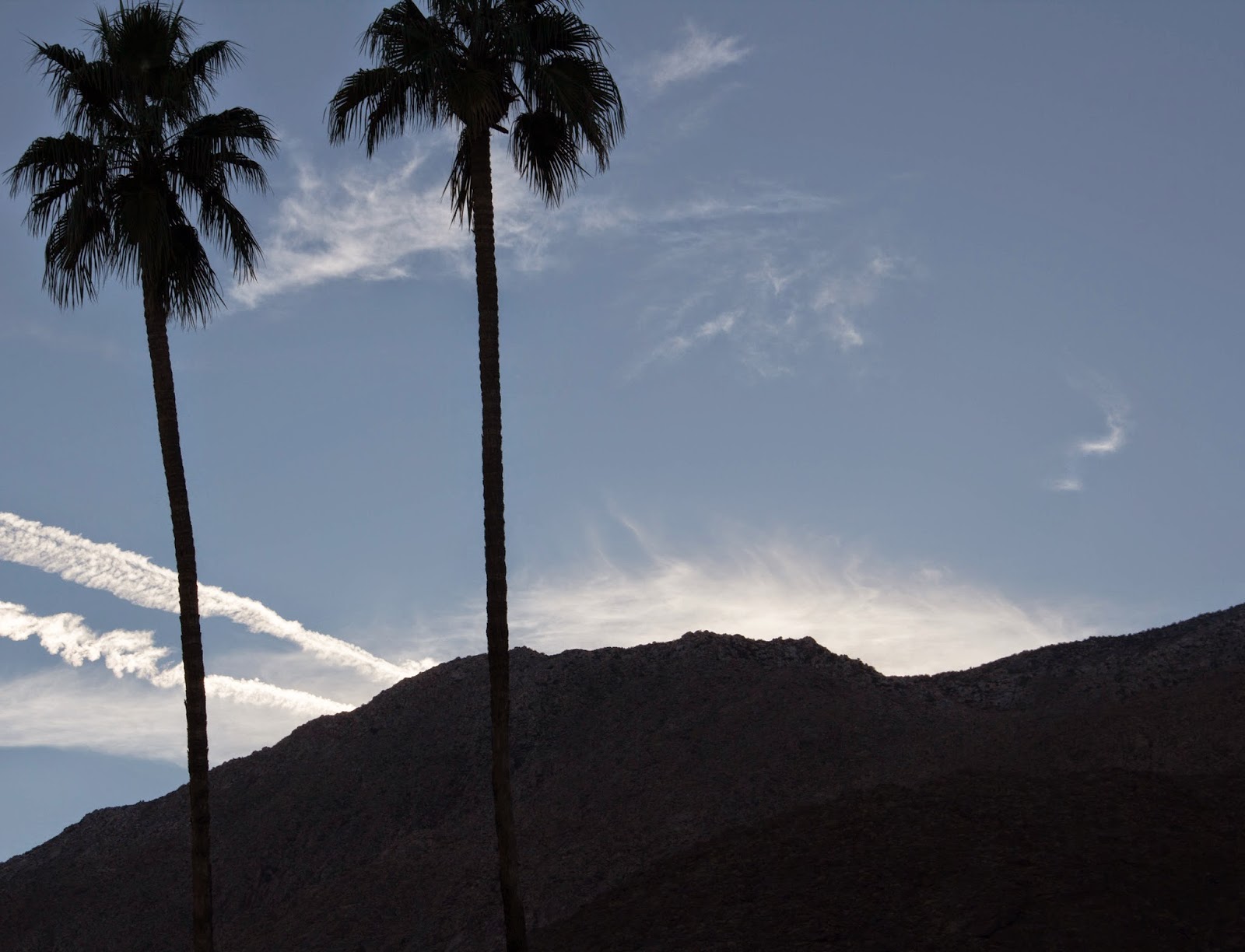 Scott's Images Palm Springs in the Winter