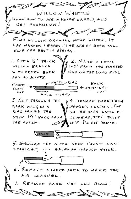 willow whistle directions