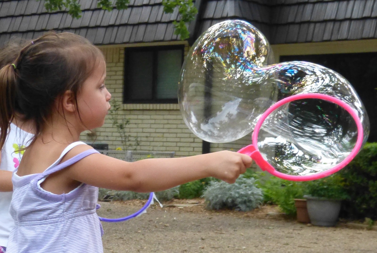 Paula's Primary Classroom Bubbles!