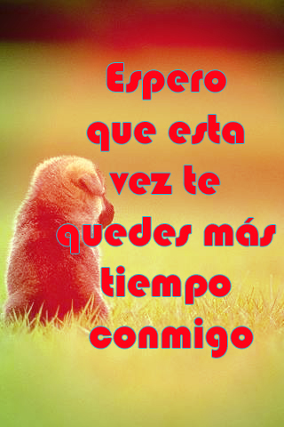 Espero que esta vez te quedes más tiempo conmigo - Imágenes bonitas de amor para teléfonos - Solo Nuevas Espero que esta vez te quedes más tiempo conmigo - Imágenes bonitas de amor para teléfonos - Solo Nuevas