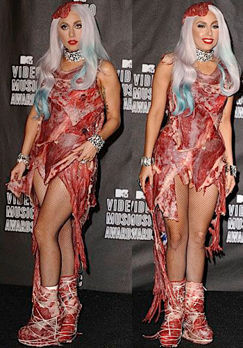 Lady Gaga Meat Costume. that lady gaga meat outfit