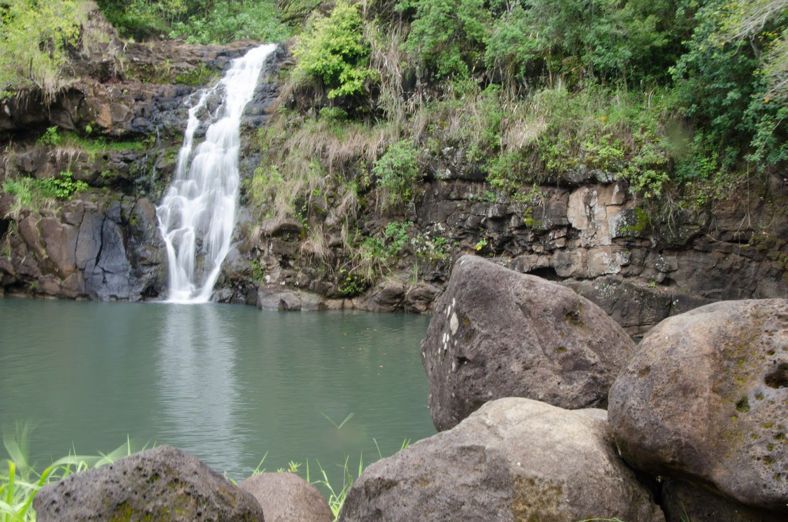Haole Hiking Waimea Falls "Hike"