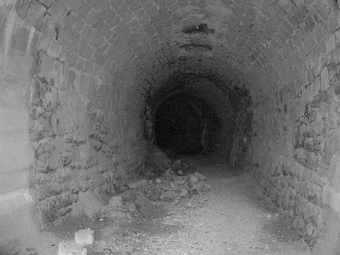 μεγάλο μαύρο πουλί blogspot