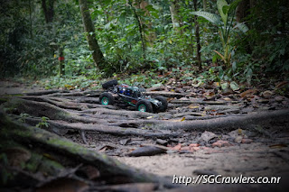 [PHOTOS] 20160424 - Rifle Range Road - Durian Loop Trail Photos DSC02784