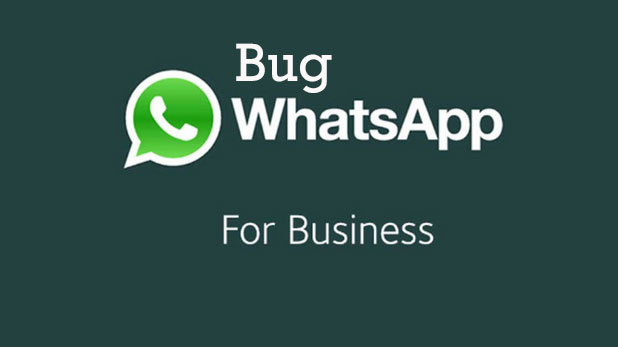 Bug WhatsApp for Business Bug WhatsApp for Business