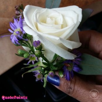 Good Morning Flower Images Free Download Good Morning Flower Images Free Download
