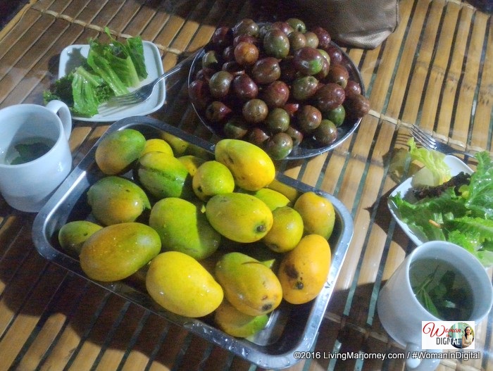 mangga and siniguelas mangga and siniguelas