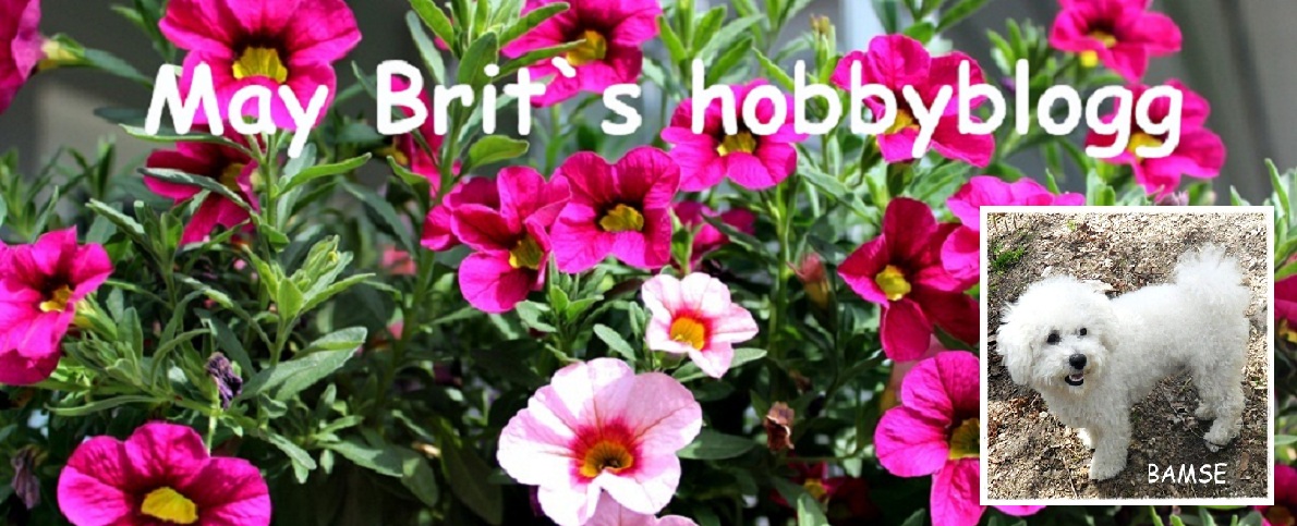 May Brit`s hobbyblogg