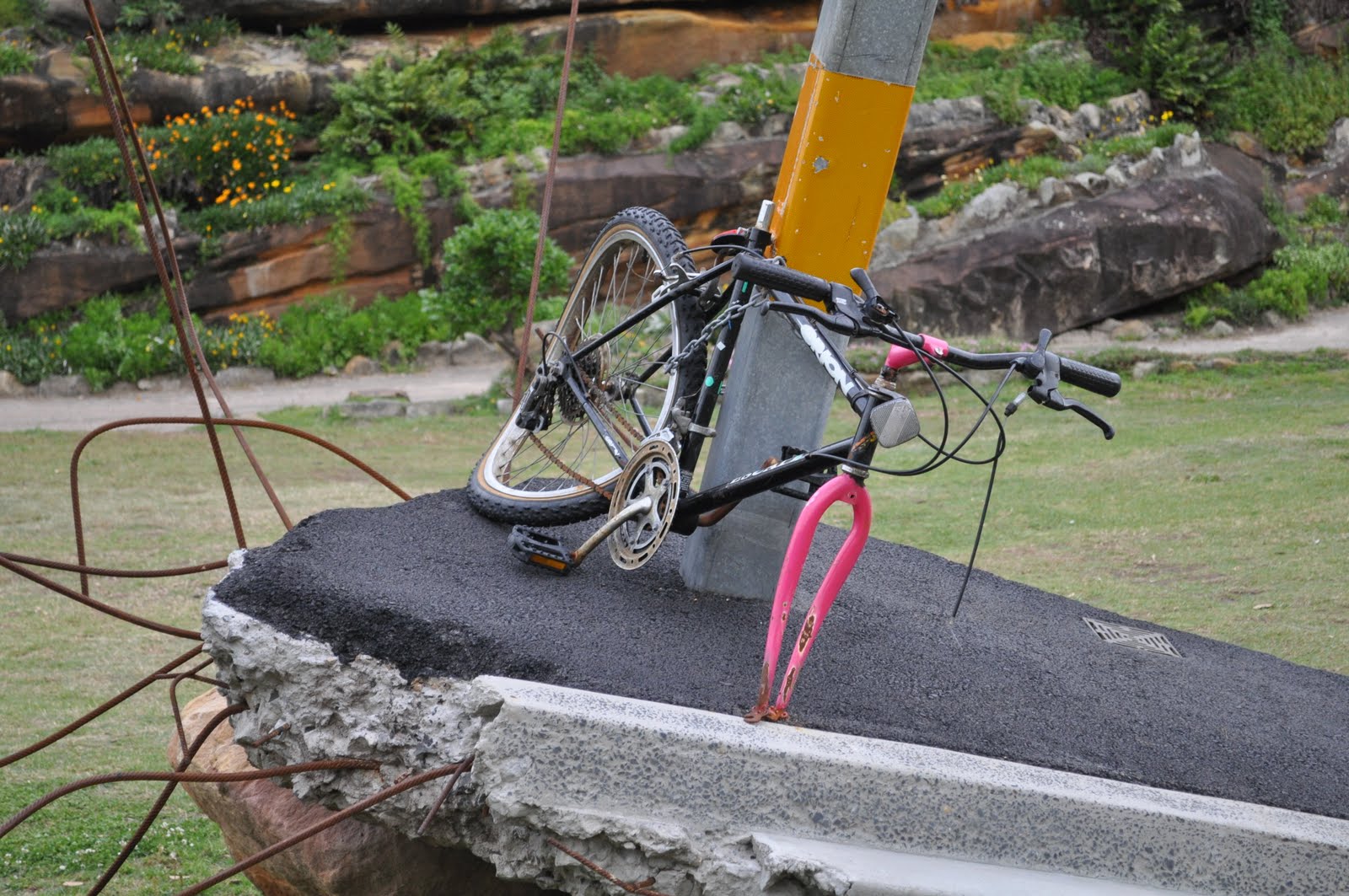 Freedom Cyclist (adfree advocacy) NSW government & bicycle helmet law