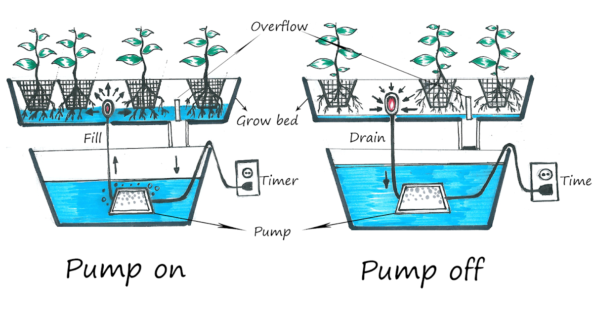 Hydroponic Passion: Ebb and Flow System