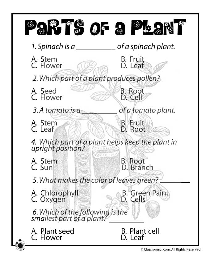 social-and-natural-sciences-for-second-grade-2016-17-plants-worksheets
