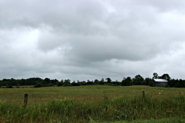 Dull rainy day
