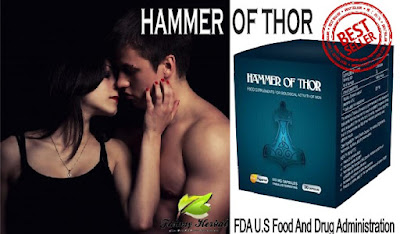 Hammer of thor obat kuat atasi ejakulasi dini Hammer of thor obat kuat atasi ejakulasi dini