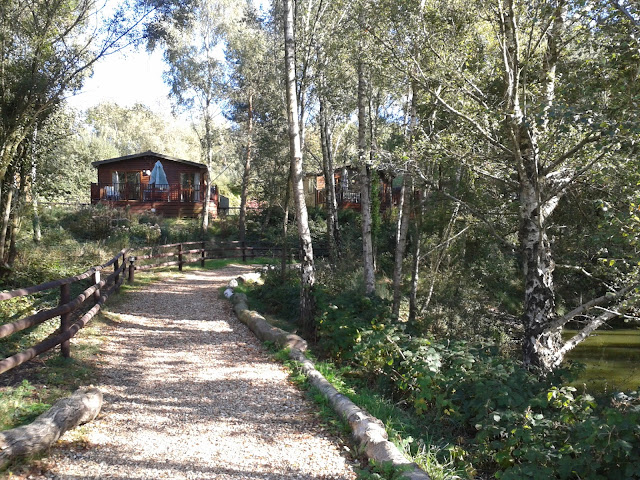 Warmwell Setting Gravel path leading up to a lodge surrounded by trees and bushes