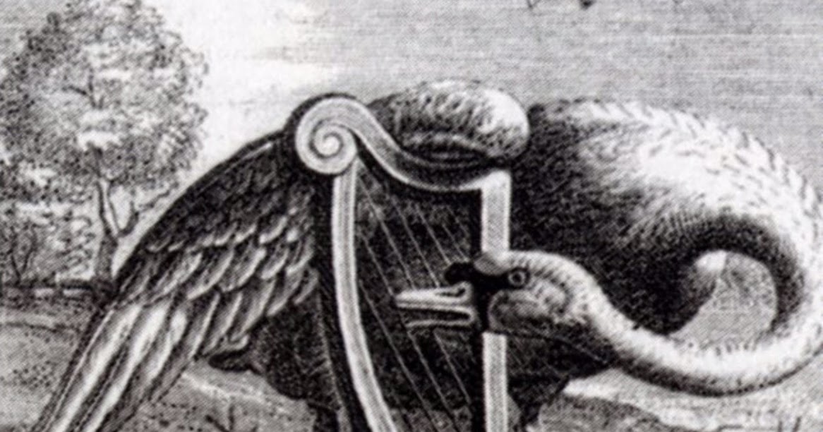 Фразеологизм лебединый. Фразеологизм лебединый. Лебединая верность фразеологизм. Лебединая фразеологизм. Про лебедей красивое выражение.