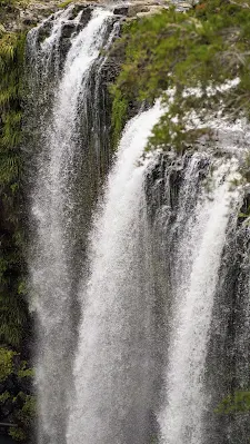 2 weeks in New Zealand for 2nd time visitors: Whangarei Falls on the North Island