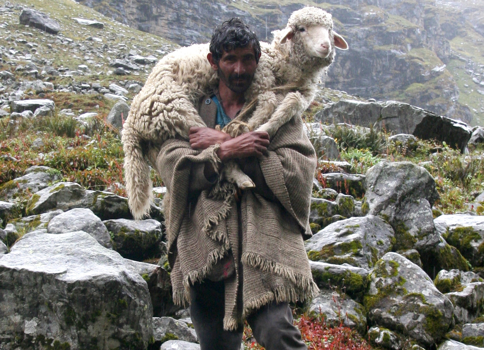 *Friday Footnotes: A Shepherd and the Sheep