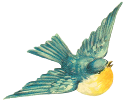 clipart bird birds clip illustration flight yellow antique chest bluebird transparent graphics artwork illustrations printable paper retro cards visit antiqueimages