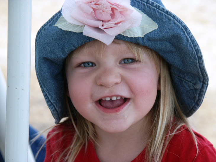 Baby Smith's Page Our Crib Bedding Set Theme Zanzibar Jungle Animals