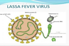 Lassa Fever Hits Nigeria Again, 44 New Cases Confirmed