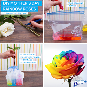 How to make and dye rainbow roses.