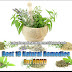 Best 10 Natural Remedies for ADHD