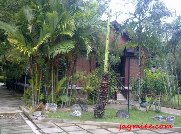 Aman Rimba Lokasi Untuk Ketenangan Fikiran. | EDISI MOTIF VIRAL