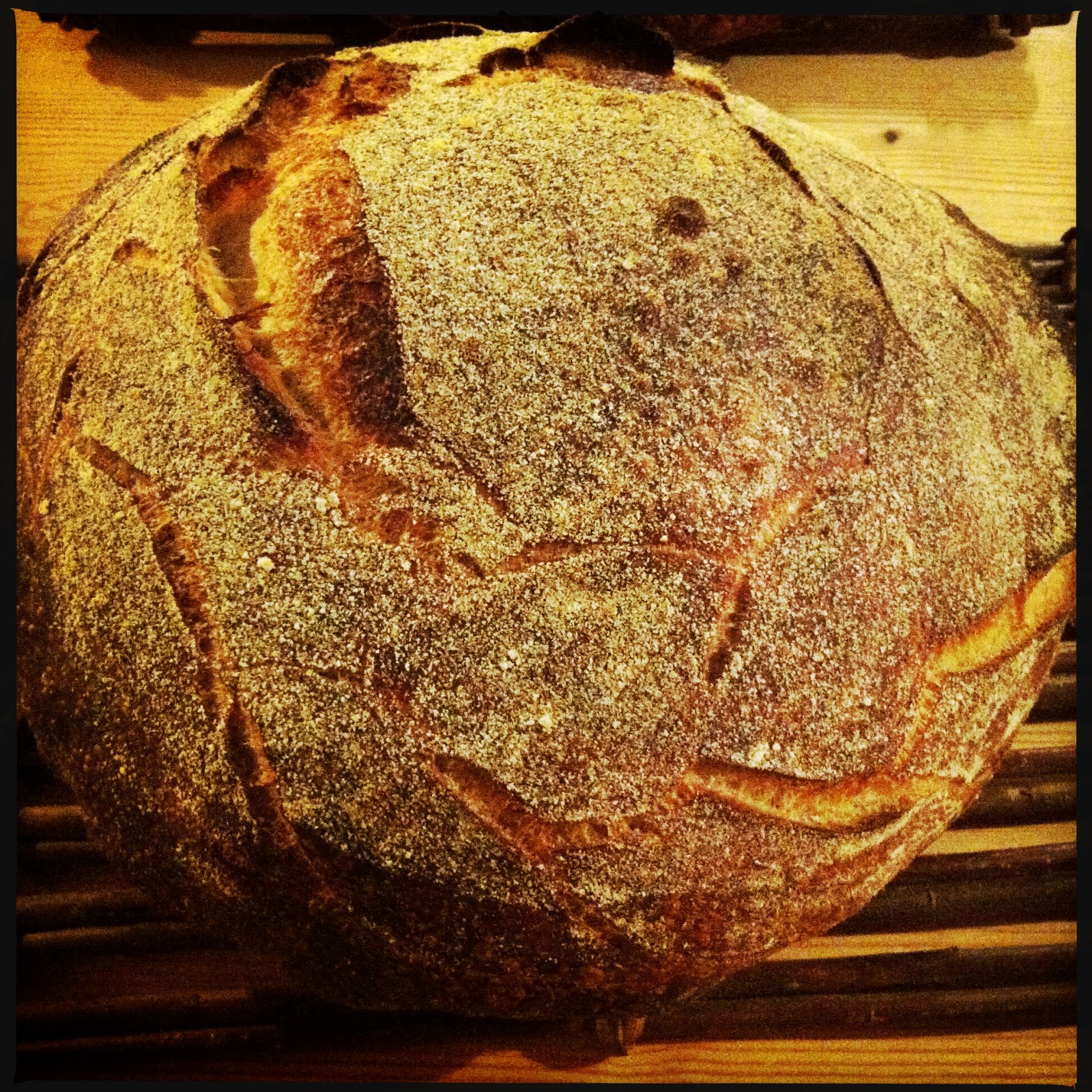 The Vicar Died Laughing Beer & Malt Sourdough