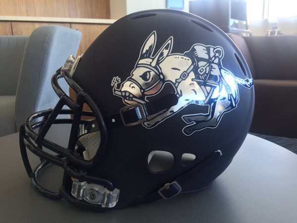 Colorado School of Mines Buster the Burro helmet 2016