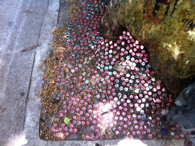 Es Bueno Pintar Los Troncos De Los árboles Con Cal