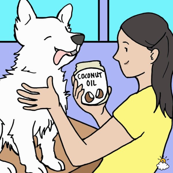I love My Dog; Natural Pet Health, Rub coconut oil onto your dog's