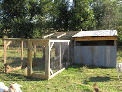 chicken coop hale farm finished