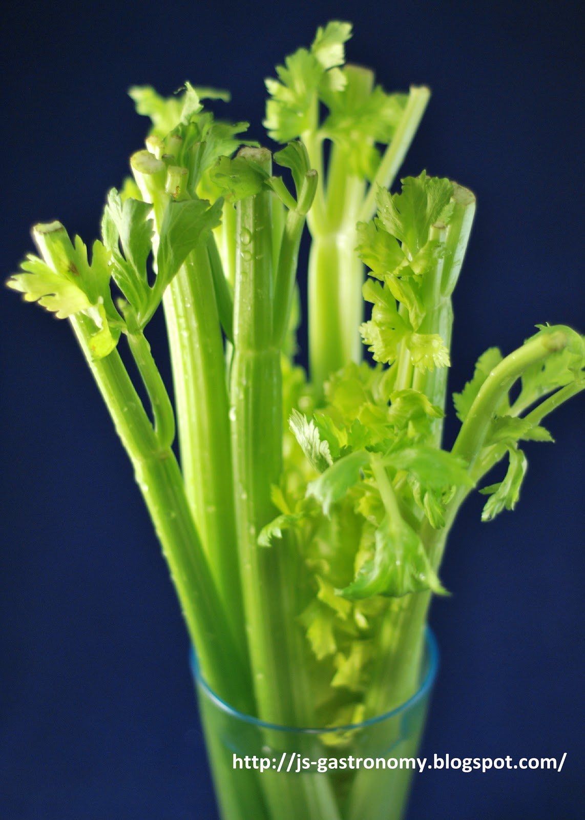 J's Gastronomy Reviving Celery