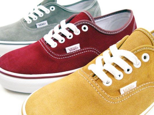 how to clean the suede part of vans