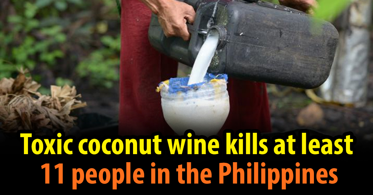 Toxic coconut wine kills at least 11 people during Christmas