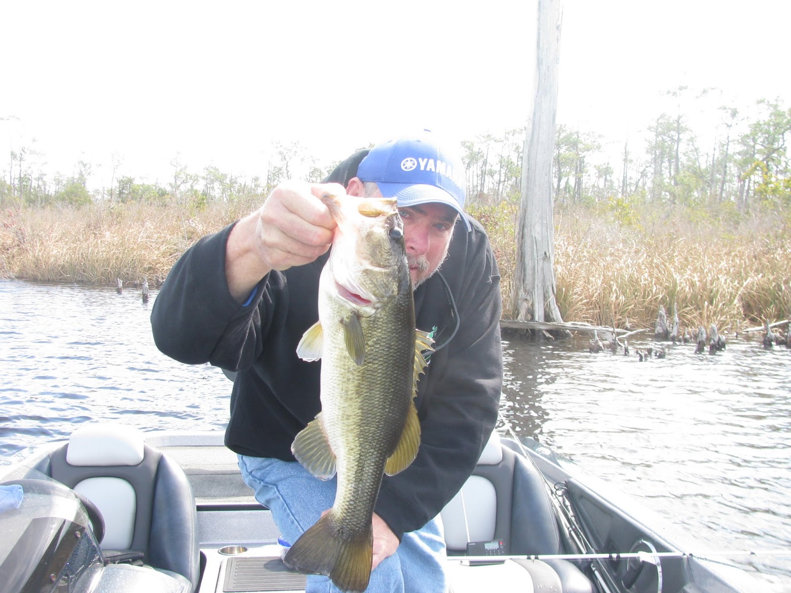 Backwateradventures Outer Banks Bass Fishing