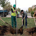 Veliaj: Every wedding and birth in Tirana to be celebrated with a tree