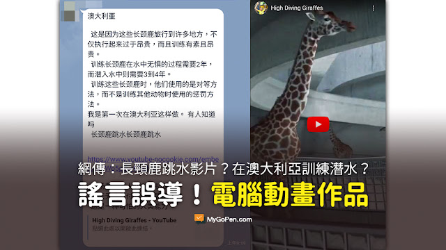長頸鹿 跳水 影片 謠言 法國長頸鹿跳水視頻 入場費為每人100萬韓元