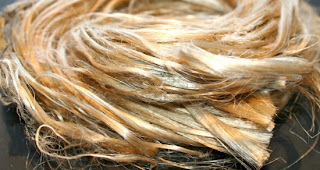 Kenaf in Thailand: Kenaf in Thailand