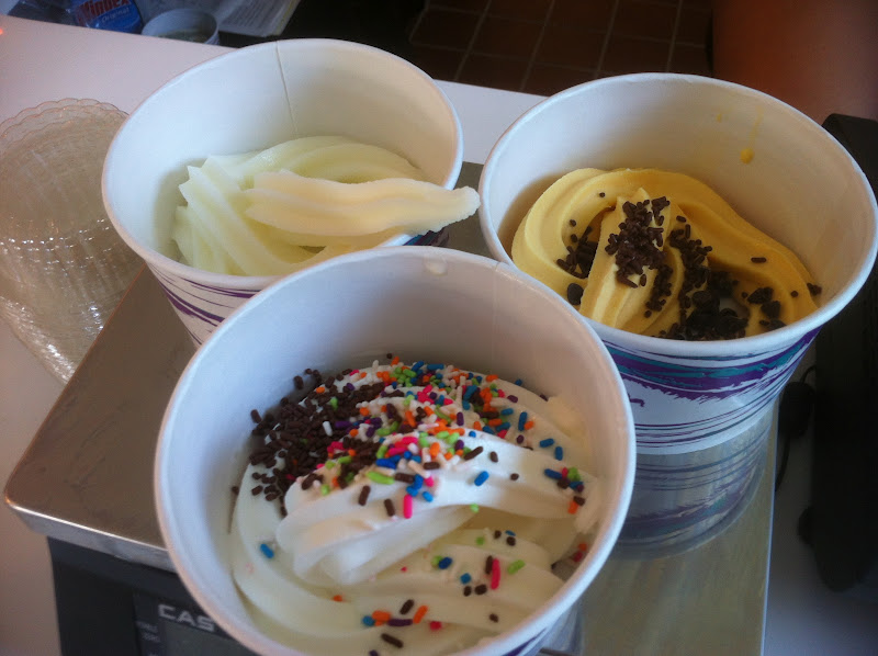 FoodieMommy Recent finds Gelato, Frozen Yogurt and Ice Cream