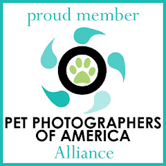 Pet Photographers of America Alliance Member