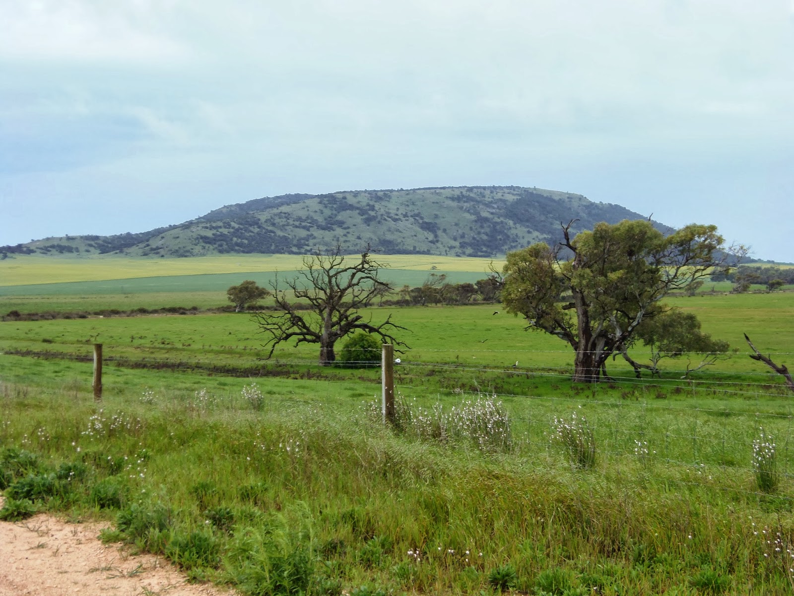 Solo Steve On The Road SHERINGA BEACH to MT DUTTON BAY SA