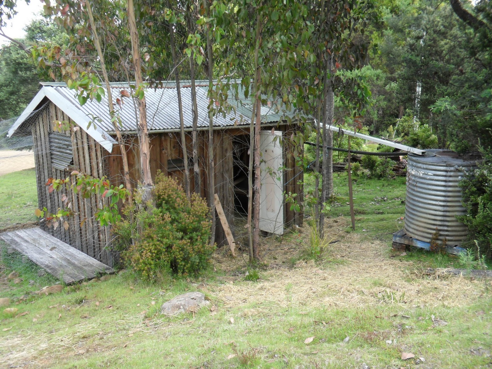 Chook Shed Design : How Shed Plans Can Enhance Your Backyard