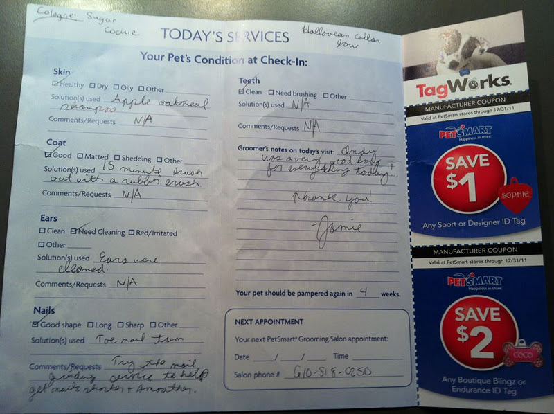 The Crunchy Conservative: Least Productive Weekend Ever (For Me)