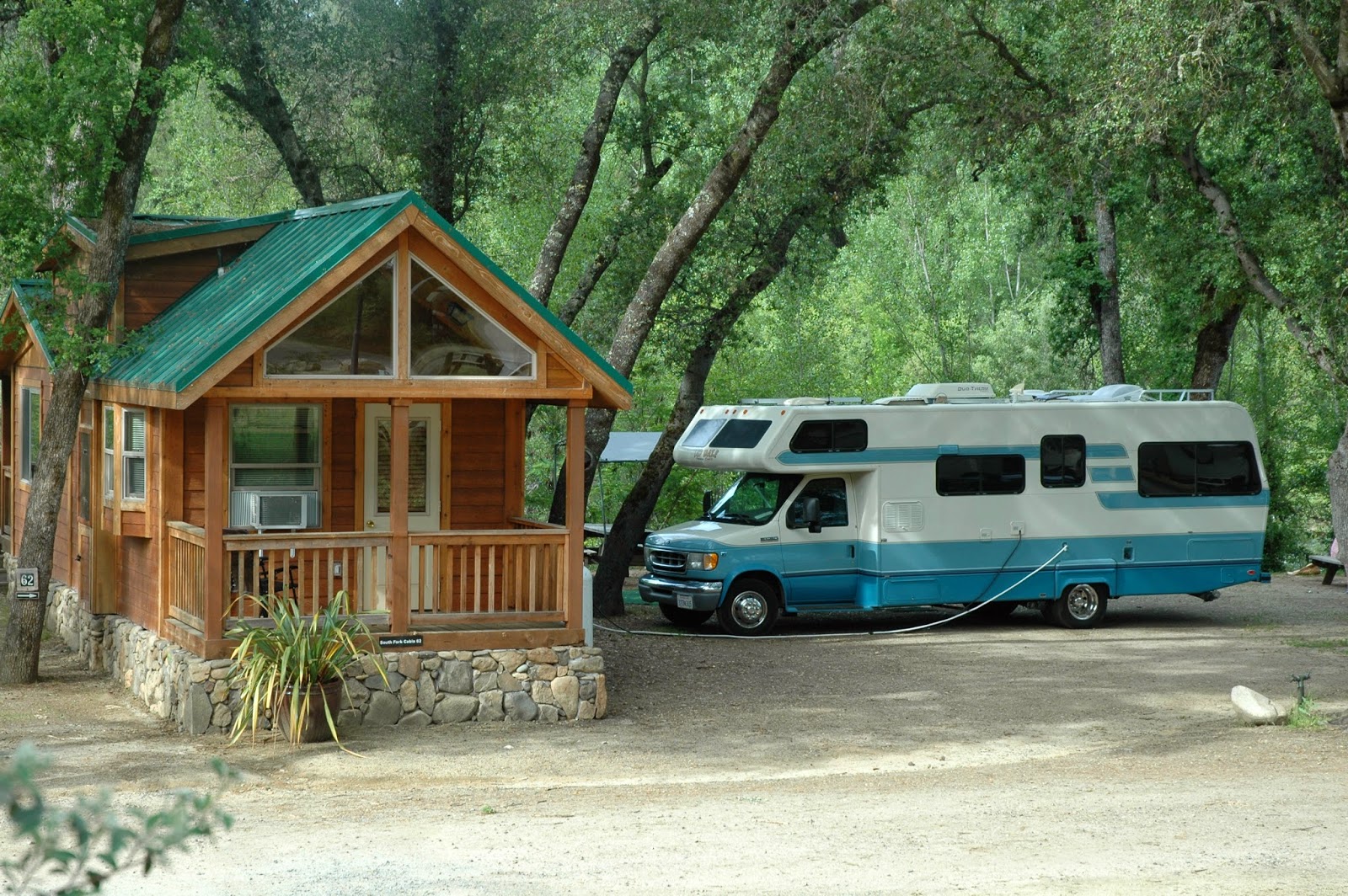 bird dog Coloma Resort Hidden Treasure