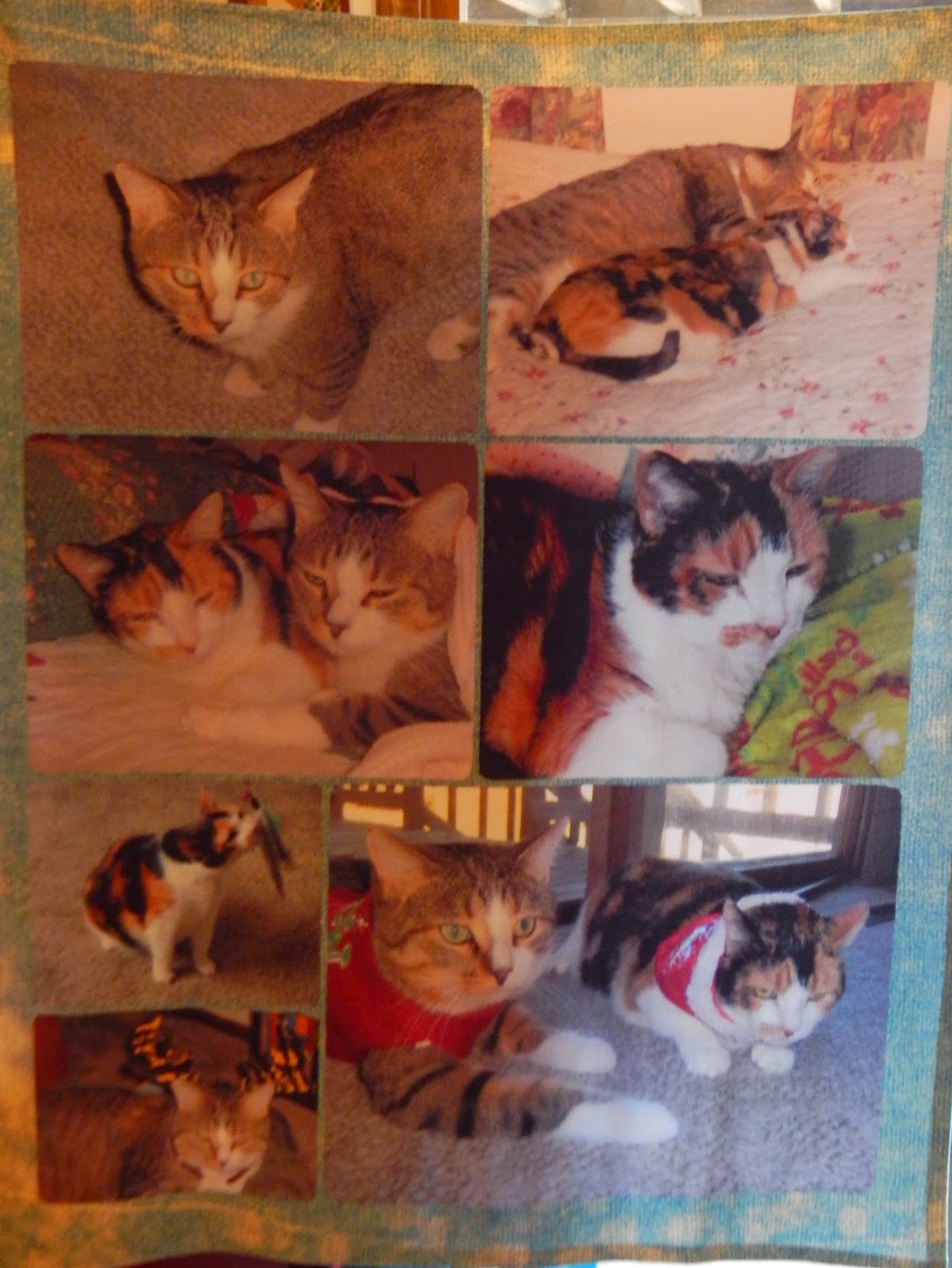 Custom 50x60 fleece photo blanket review giveaway ramblings of a 
