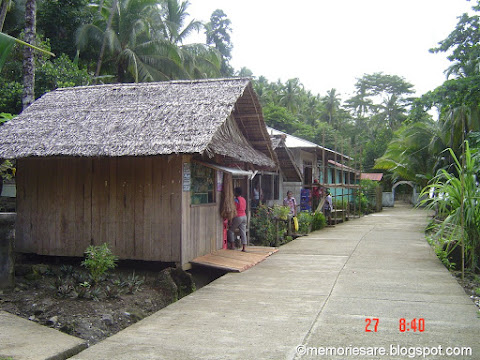 Bayabas, N. Mindanao