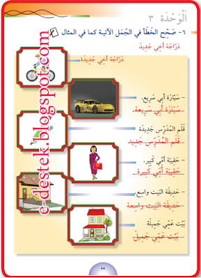 7. Sınıf Arapça Meb Yayınları Çalışma Kitabı Cevapları Sayfa 55